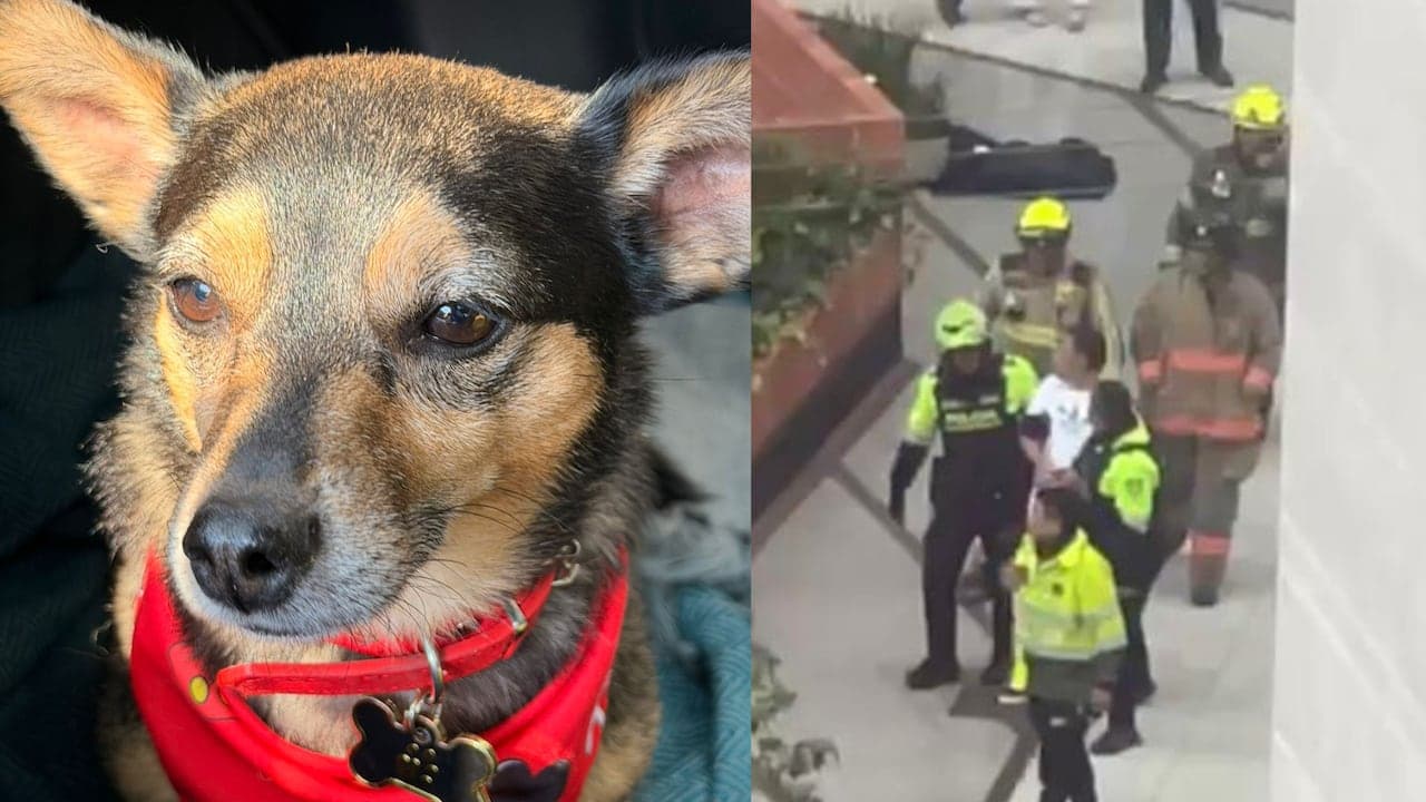 La tragedia de Tonny: cuando la violencia toca a los más vulnerables