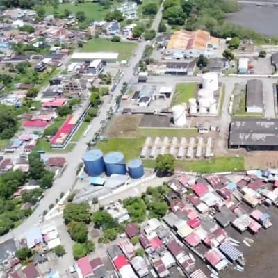 Tumaco florece: exportación récord de palma africana